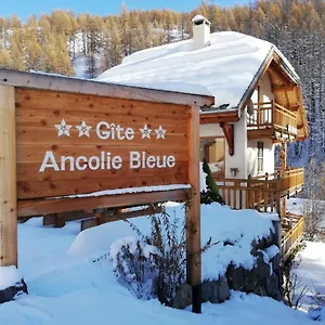 Ancolie Bleue Abriès
